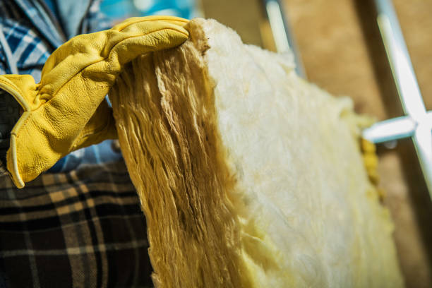 Best Best Insulation Companies  in New Plymouth, ID